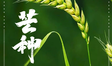 c7c7娱涝旖台官网入口(中国)官方网站